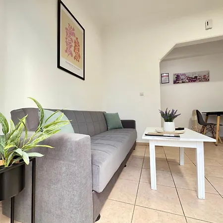 Bright & Spacious In Town, Near The - No 3